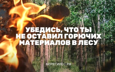 Убедись, что ты не оставил горючих материалов в лесу