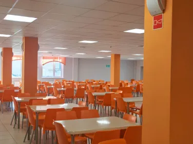 Городецкая школа
