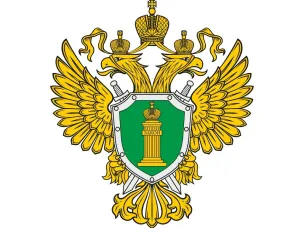 С октября 2024 года изменен размер утилизационного сбора