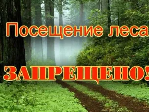 Указом Губернатора от 18 августа 2022 г. № 155 на территории Нижегородской области введен режим ЧС в лесах