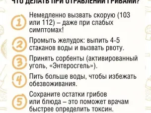 Отравление грибами