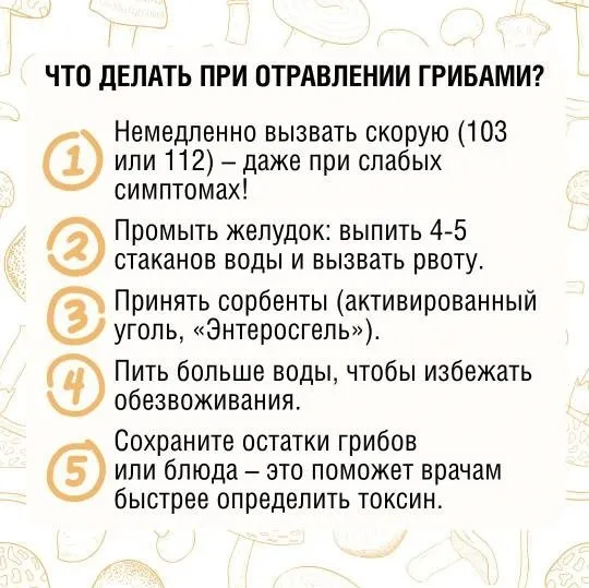 Отравление грибами