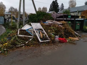 КУСТЫ И РАСТИТЕЛЬНЫЕ ОТХОДЫ НЕ ОТНОСЯТСЯ К ТБО