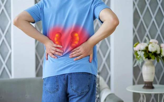 Заболевания почек и инфекции – есть ли связь?