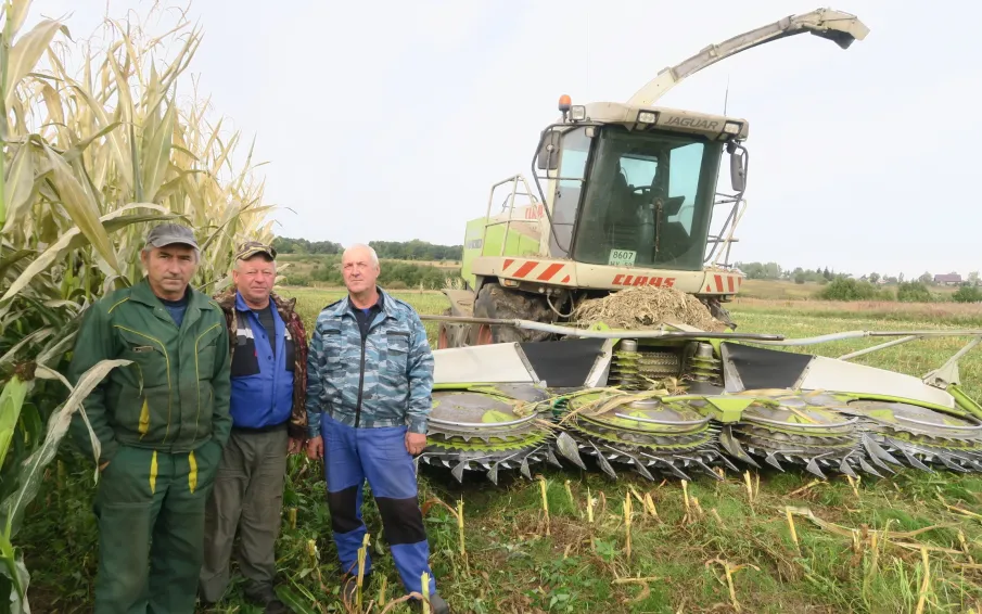 ИДЁТ УБОРКА КУКУРУЗЫ НА СИЛОС