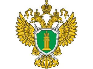 Нижегородская транспортная прокуратура провела проверку в связи с посадкой на мель судна и загрязнением акватории реки Волга