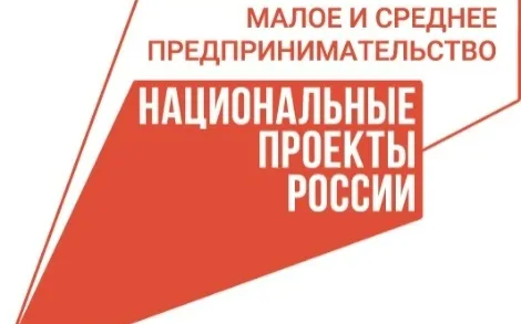 Более 100 тысяч человек зарегистрировались в качестве самозанятых в Нижегородской области